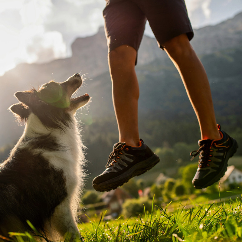 Running and on sale trekking shoes