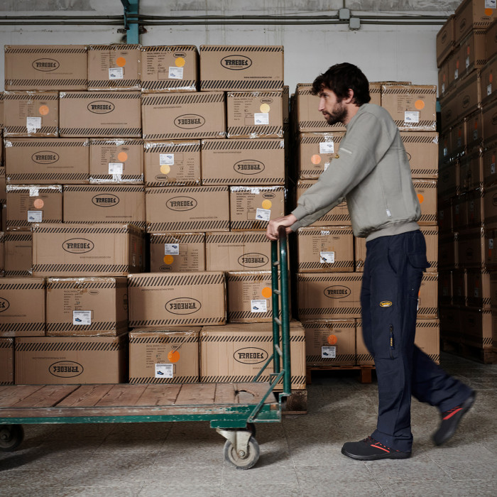 Actinio Safety Shoes