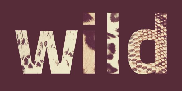 wild