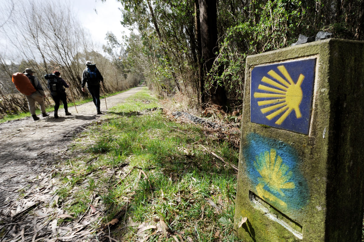 BLOG DE PAREDES Y EL CAMINO DE SANTIAGO