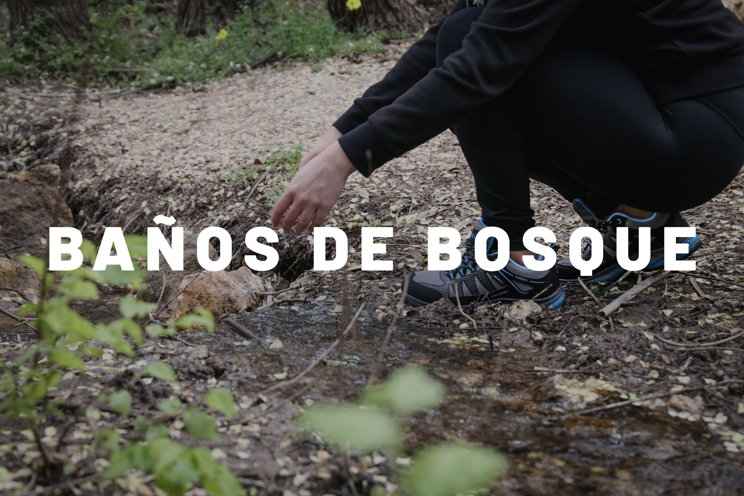 BAÑOS DE BOSQUE DISFRUTA EL VERANO CON PAREDES