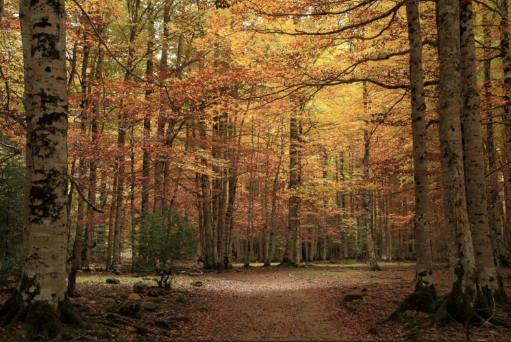 Parque Natural de la Sierra de Ordesa
