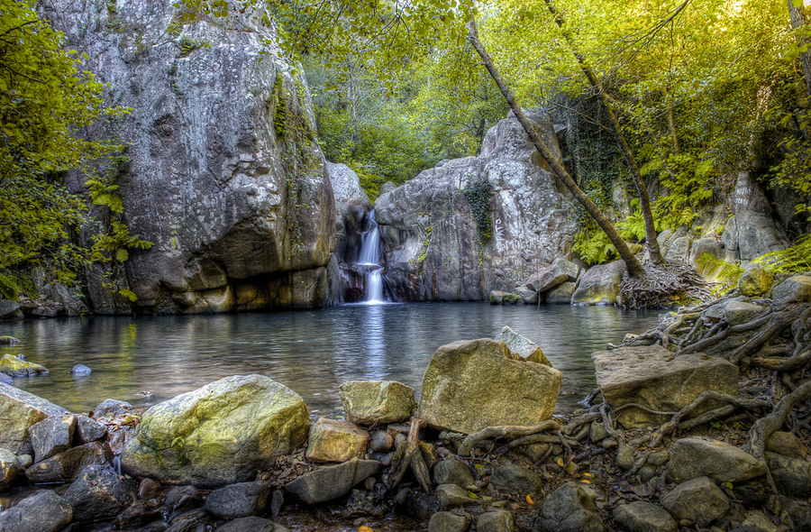 Sendero del Rio de La Miel (Parque Natural de Los Alcornocales - Algeciras)